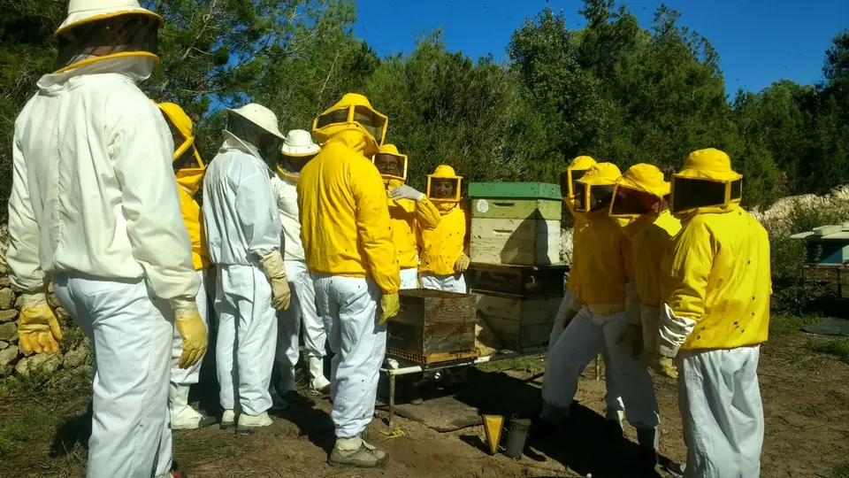 Apiculteurs en combinaison de protection jaune près des ruches