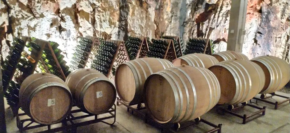Fûts de vin dans une cave creusée dans la roche