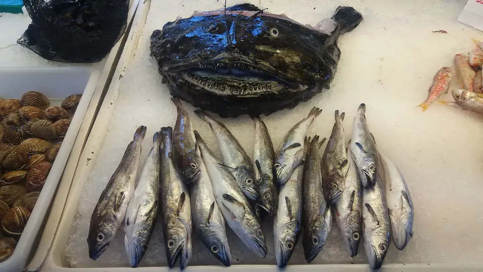 Poisson frais sur un comptoir, avec une baudroie au fond