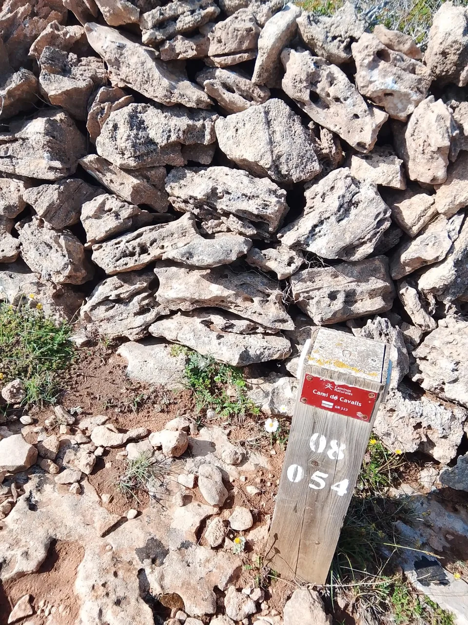 Poste de madera del Camí de Cavalls con la placa roja del GR 223 y el número 08 054, junto a un muro de piedra seca