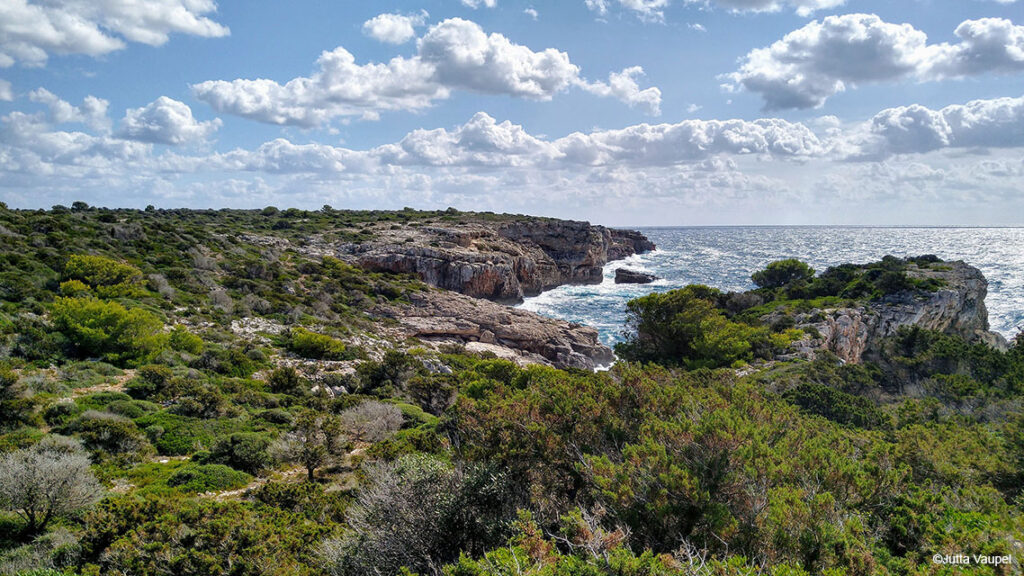 Costa de Sureste Canutells Jutta Vaupel_copy